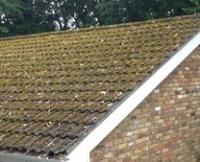 Roof Cleaning & Moss Removal Canterbury image 4